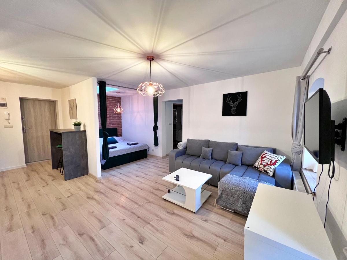 Apartament w samym centrum Jeleniej Góry Jelenia Góra Exterior foto