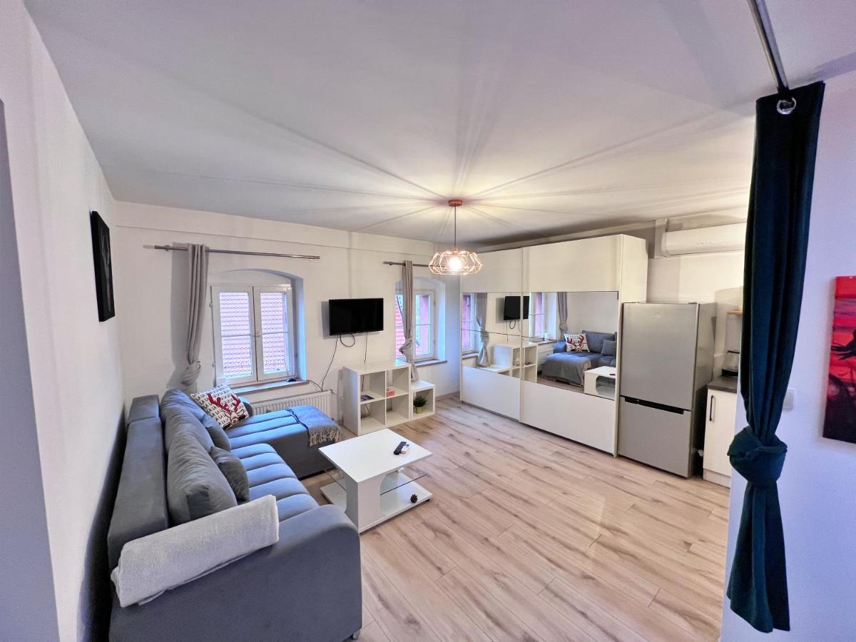 Apartament w samym centrum Jeleniej Góry Jelenia Góra Exterior foto